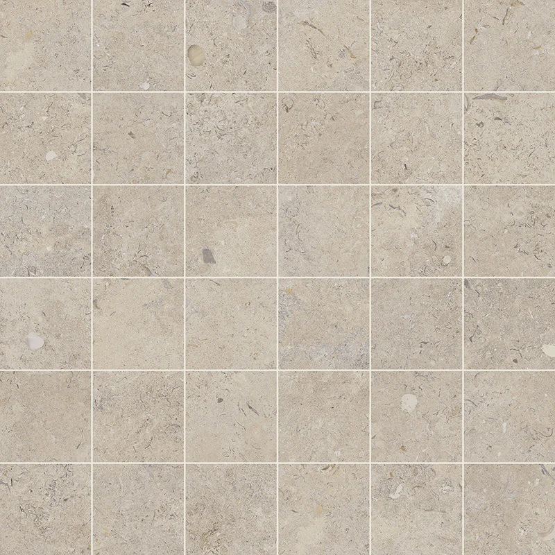 Coralina - Image 21